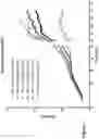 Fig. 02 - Deoxynucleoside therapy for diseases caused by unbalanced nucleotide pools including mitochondrial DNA depletion syndromes