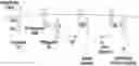 Fig. 01 - Cellular receptors and uses thereof