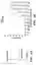 Fig. 09 - Cellular receptors and uses thereof