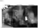Fig. 07 - Pharmaceutical composition for dermatology and uses thereof
