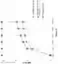 Fig. 03 - DENTAL PULP STEM CELLS AND USES THEREOF
