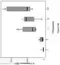 Fig. 06 - DENTAL PULP STEM CELLS AND USES THEREOF