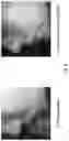 Fig. 10 - AGENTS FOR MODULATING THE EXPRESSION OF HEAT SHOCK PROTEINS AND RELATED METHODS