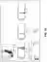 Fig. 05 - COMPOSITIONS AND METHODS FOR TREATMENT OF INTRACELLULAR DAMAGE AND BACTERIAL INFECTION