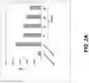 Fig. 11 - COMPOSITIONS AND METHODS FOR TREATMENT OF INTRACELLULAR DAMAGE AND BACTERIAL INFECTION