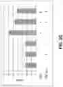 Fig. 16 - COMPOSITIONS AND METHODS FOR TREATMENT OF INTRACELLULAR DAMAGE AND BACTERIAL INFECTION