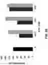 Fig. 18 - COMPOSITIONS AND METHODS FOR TREATMENT OF INTRACELLULAR DAMAGE AND BACTERIAL INFECTION