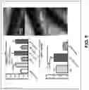 Fig. 30 - COMPOSITIONS AND METHODS FOR TREATMENT OF INTRACELLULAR DAMAGE AND BACTERIAL INFECTION