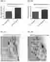 Fig. 34 - COMPOSITIONS AND METHODS FOR TREATMENT OF INTRACELLULAR DAMAGE AND BACTERIAL INFECTION