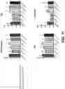 Fig. 37 - COMPOSITIONS AND METHODS FOR TREATMENT OF INTRACELLULAR DAMAGE AND BACTERIAL INFECTION