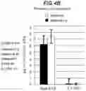 Fig. 07 - Method of Treating Respiratory Disorders