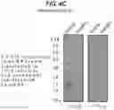 Fig. 08 - Method of Treating Respiratory Disorders
