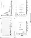 Fig. 07 - COMPOSITIONS AND METHODS FOR IN VIVO POST TRANSLATIONAL MODIFICATION