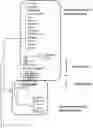 Fig. 01 - Endolysins active against bacteria, pharmaceutical compositions, and methods relating thereto