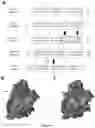 Fig. 10 - Endolysins active against bacteria, pharmaceutical compositions, and methods relating thereto