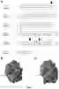 Fig. 11 - Endolysins active against bacteria, pharmaceutical compositions, and methods relating thereto