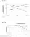 Fig. 06 - Compositions and methods for treating Pompe disease