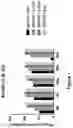 Fig. 02 - CD47 blockade with radiation therapy