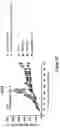 Fig. 06 - CD47 blockade with radiation therapy