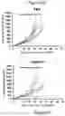 Fig. 07 - CD47 blockade with radiation therapy