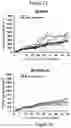 Fig. 08 - CD47 blockade with radiation therapy