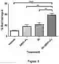 Fig. 09 - CD47 blockade with radiation therapy