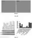 Fig. 09 - SHORT INTERFERING RNA TEMPLATED LIPOPROTEIN PARTICLES (SIRNA-TLP)