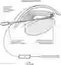 Fig. 01 - FLUORESCENCE COLORING FOR EYE SURGERY