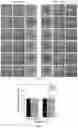 Fig. 07 - Biofunctional hydrogel for wound healing
