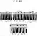 Fig. 07 - Microgel composition comprising collagen and method of preparing the same