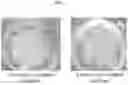 Fig. 03 - INJECTABLE SILK FIBROIN PARTICLES AND USES THEREOF