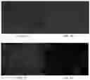 Fig. 06 - Composition of corneal implantation, and the use and preparation method thereof