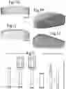 Fig. 03 - Optimized solid substrates, tools for use with same and uses thereof for promoting cell and tissue growth