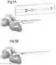 Fig. 06 - Optimized solid substrates, tools for use with same and uses thereof for promoting cell and tissue growth