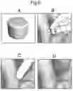 Fig. 09 - Optimized solid substrates, tools for use with same and uses thereof for promoting cell and tissue growth
