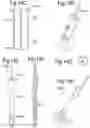 Fig. 18 - Optimized solid substrates, tools for use with same and uses thereof for promoting cell and tissue growth