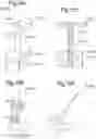 Fig. 20 - Optimized solid substrates, tools for use with same and uses thereof for promoting cell and tissue growth