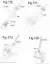 Fig. 22 - Optimized solid substrates, tools for use with same and uses thereof for promoting cell and tissue growth