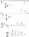 Fig. 28 - Optimized solid substrates, tools for use with same and uses thereof for promoting cell and tissue growth