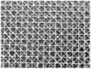 Fig. 01 - Articles of poly(butylene succinate) and copolymers thereof