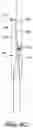 Fig. 09 - Apparatuses and method for injecting medicaments