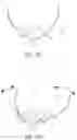 Fig. 35 - NASAL SEAL, MASK AND RESPIRATORY INTERFACE ASSEMBLY