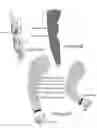 Fig. 74 - METHODS AND APPARATUS FOR A WEARABLE ELECTRONIC DIGITAL THERAPEUTIC DEVICE