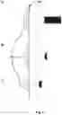Fig. 06 - Laser head and laser probe for low-level laser therapy and a method of controlling such laser probe