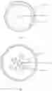 Fig. 07 - COUNTERLUNG FOR A REBREATHING APPARATUS
