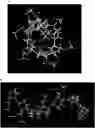 Fig. 01 - Methods and compositions for purification or isolation of microvesicles and exosomes