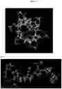 Fig. 02 - Methods and compositions for purification or isolation of microvesicles and exosomes