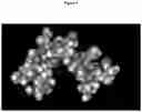 Fig. 09 - Methods and compositions for purification or isolation of microvesicles and exosomes