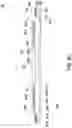 Fig. 09 - Miniature gas detection and purification device