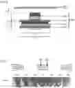 Fig. 06 - Magnetic assemblies, apparatuses and processes for producing optical effect layers comprising oriented non-spherical magnetic or magnetizable pigment particles